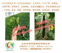 【嫁接黄瓜苗】嫁接黄瓜苗最新报价/企业名录/热卖促销/产品库 - 阿土伯网移动版