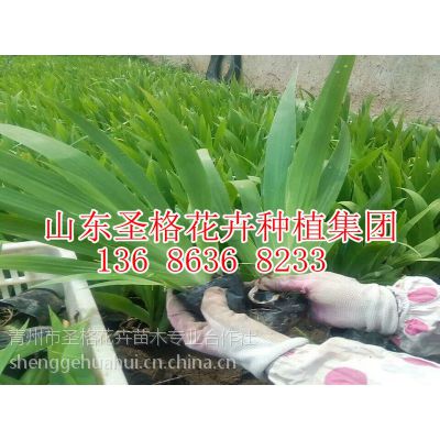 价格 厂家 中国供应商